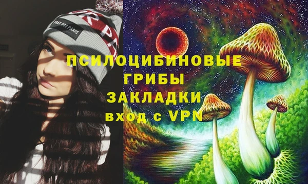 ГАЛЛЮЦИНОГЕННЫЕ ГРИБЫ Алексеевка