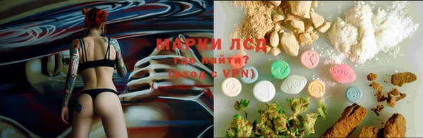 дурь Алексин