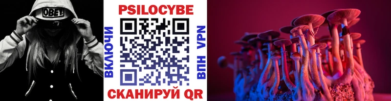 Псилоцибиновые грибы прущие грибы  купить закладку  ОМГ ОМГ   Щигры 